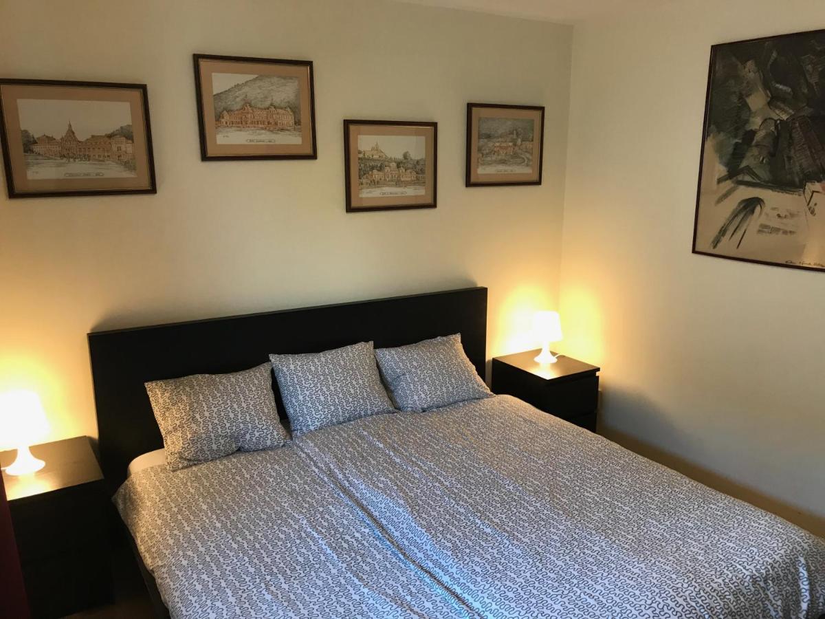 Lovely & Cozy Apartment Sinaia Buitenkant foto