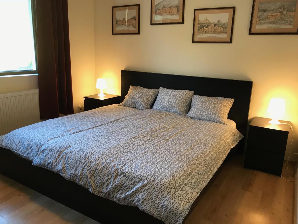 Lovely & Cozy Apartment Sinaia Buitenkant foto