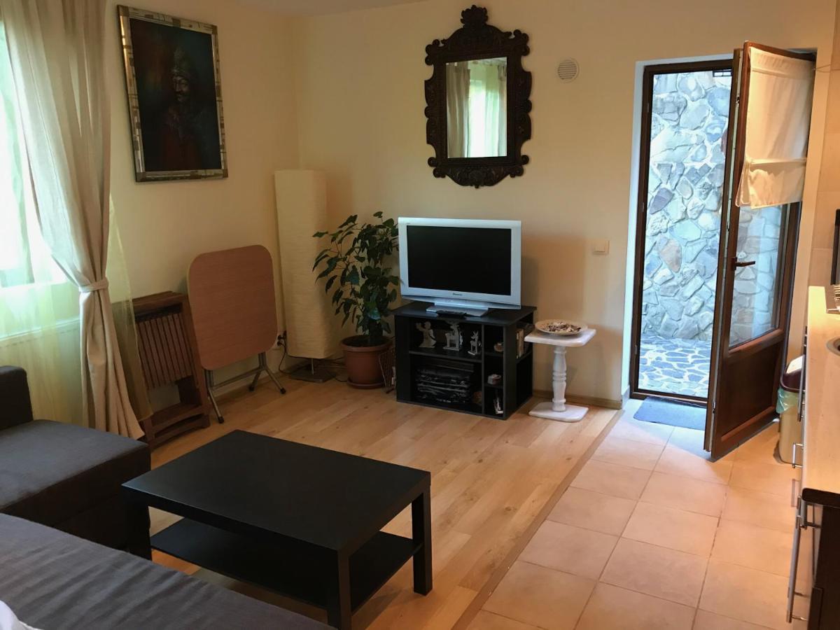 Lovely & Cozy Apartment Sinaia Buitenkant foto