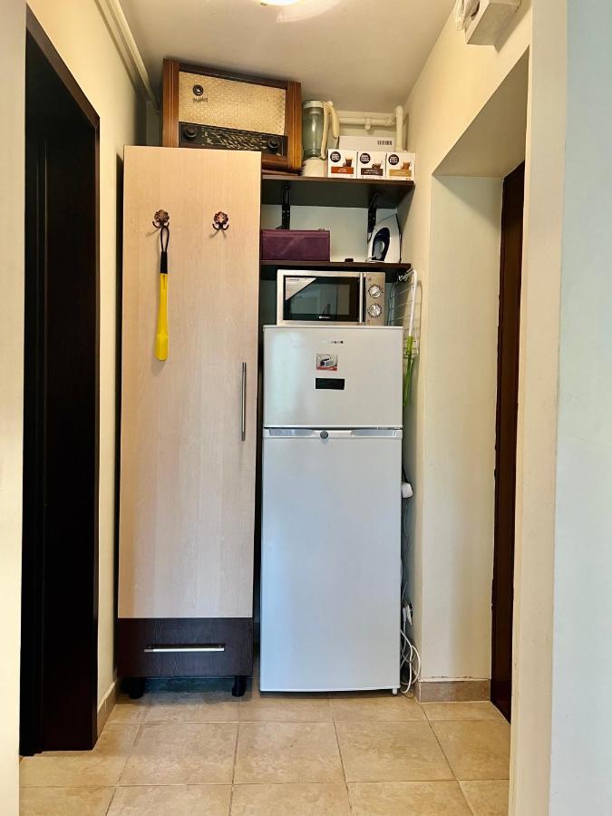 Lovely & Cozy Apartment Sinaia Buitenkant foto
